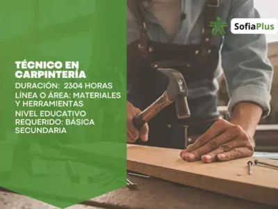 Técnico en Carpintería