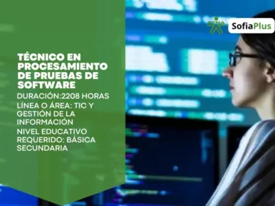 Técnico en Procesamiento de Pruebas de Software