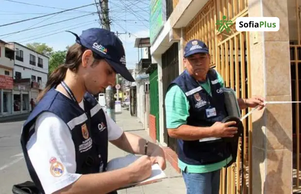 Técnico en Catastro