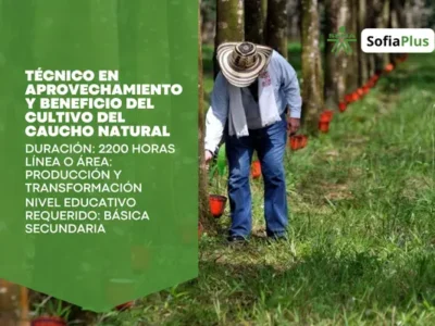 Técnico en Aprovechamiento y Beneficio del Cultivo del Caucho Natural