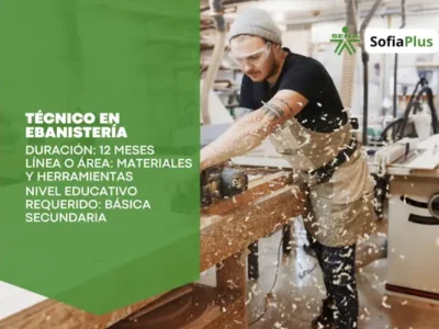 Técnico en Ebanistería