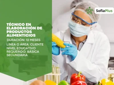 Técnico en Elaboración de Productos Alimenticios