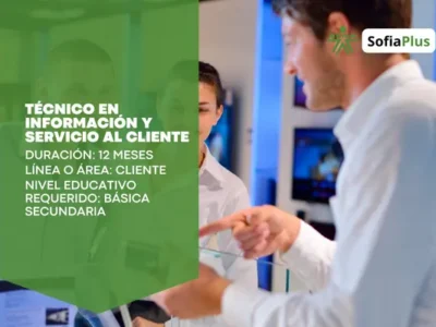 Técnico en Información y Servicio al Cliente