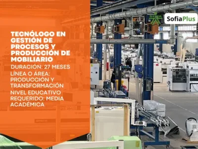 Tecnólogo en Gestión de Procesos y Producción de Mobiliario