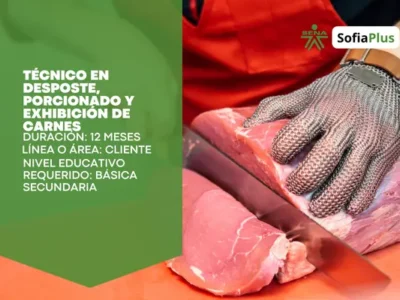 Técnico en Desposte, Porcionado y Exhibición de Carnes