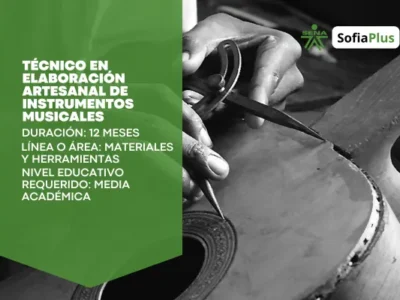 Técnico en Elaboración Artesanal de Instrumentos Musicales