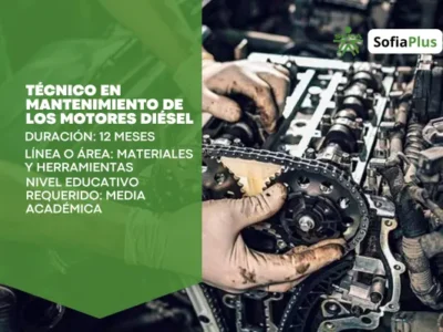 Técnico en Mantenimiento de los Motores Diésel