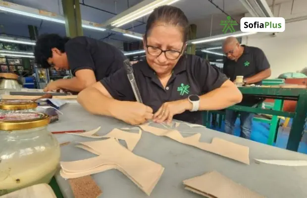 Perfil Profesional Técnico en Fabricación Industrial de Marroquinería SENA