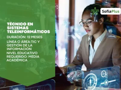 Técnico en Sistemas Teleinformáticos