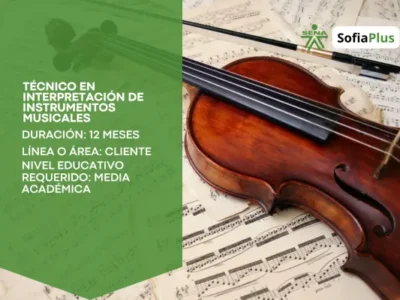 Técnico en Interpretación de Instrumentos Musicales