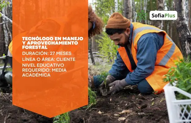 Carrera Tecnólogo en Manejo y Aprovechamiento Forestal SENA Sofia Plus