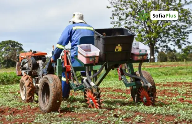 Perfil Profesional Tecnólogo en Mecanización Agrícola SENA Sofia Plus