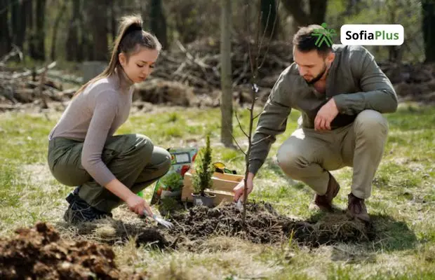 Tecnólogo en Manejo y Aprovechamiento Forestal SENA Sofia Plus